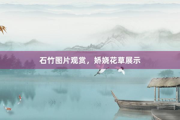 石竹图片观赏，娇娆花草展示